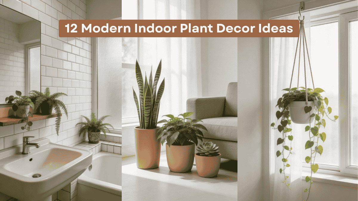 12 Modern Indoor Plant Decor Ideas