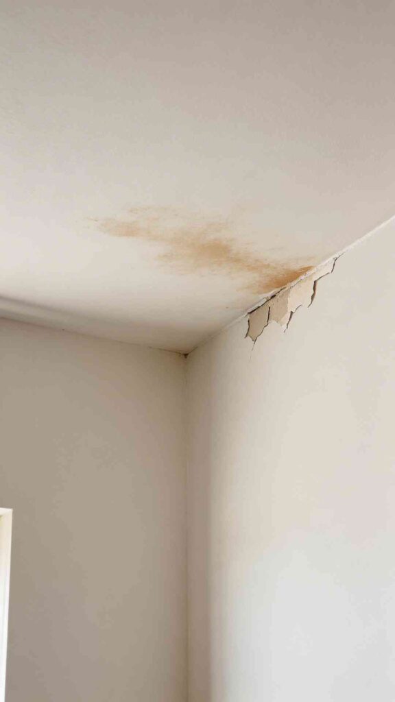 Roof Maintenance Tips for Homeowners